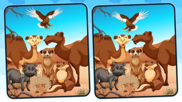 Desert Differences Puzzle Game