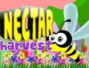 Nectar Trail Calm Adventure