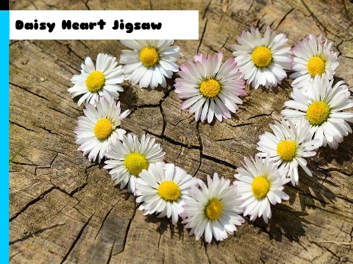 Daisy Heart Jigsaw Puzzle