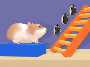 Hamster Stack Maze Online Puzzle Game