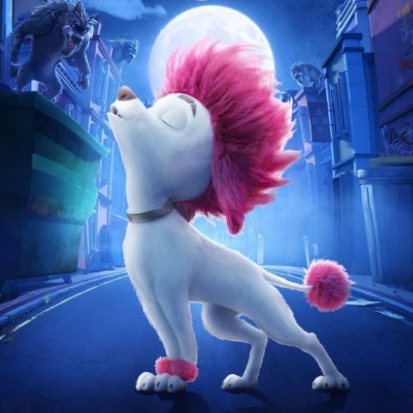 Poodle Chase Endless Runner
